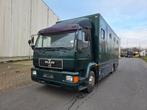 MAN LM 12 LE (Stock ID 55993), Euro 2, MAN, Bedrijf, Metaalkleur