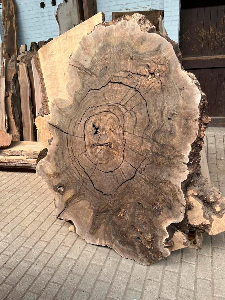 Amerikaans noten wortelhout blackwood taxus olm eik esdoorn, Doe-het-zelf en Bouw, Platen en Panelen, Nieuw, Hout, Ophalen