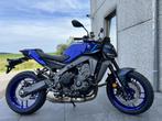 Yamaha MT-09, Entreprise, Plus de 35 kW, 900 cm³, Naked bike