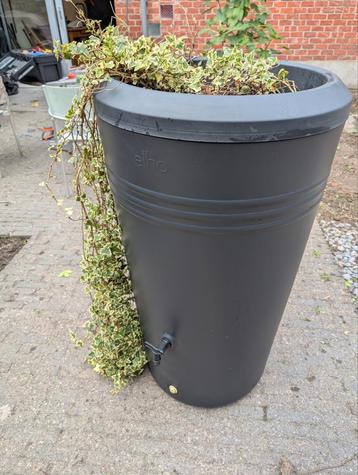 Regenton met plantenbak 200L beschikbaar voor biedingen