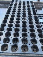 stekplaat plantplaat zaaiplaat 102 plantgaten, Enlèvement ou Envoi, Moins de 25 cm, Comme neuf, Synthétique