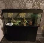 Jewel aquarium inclusief onderkast, Dieren en Toebehoren