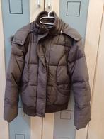 dameswinterjas terre bleue bruin mt 40, Maat 38/40 (M), Terre bleue, Bruin, Ophalen of Verzenden