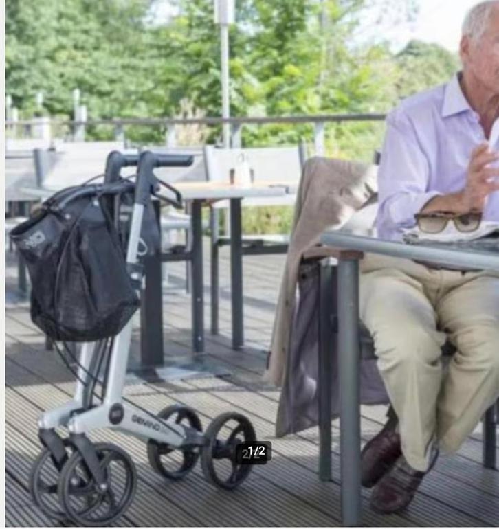 rollator Gemino 20, grijs, Diversen, Rollators, Lichtgewicht, Ophalen