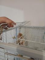 Cage à oiseaux. Métal blanc Barres horizontales. Avec bâton, Animaux & Accessoires, Enlèvement, Comme neuf, Métal, Cage à oiseaux