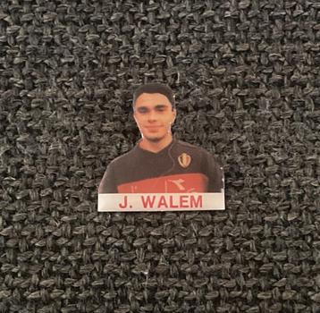 PIN - JOHAN WALEM - RODE DUIVELS - VOETBAL - FOOTBALL, Envoi, Utilisé, Sport, Insigne ou Pin's