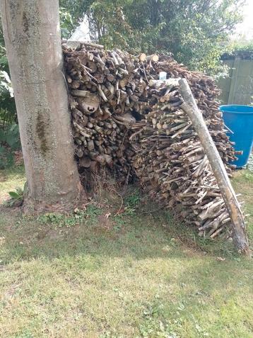 Aanmaak hout beschikbaar voor biedingen
