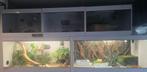 Terrarium's incl slangen zie foto's, Animaux & Accessoires, Reptiles & Amphibiens | Accessoires, Enlèvement