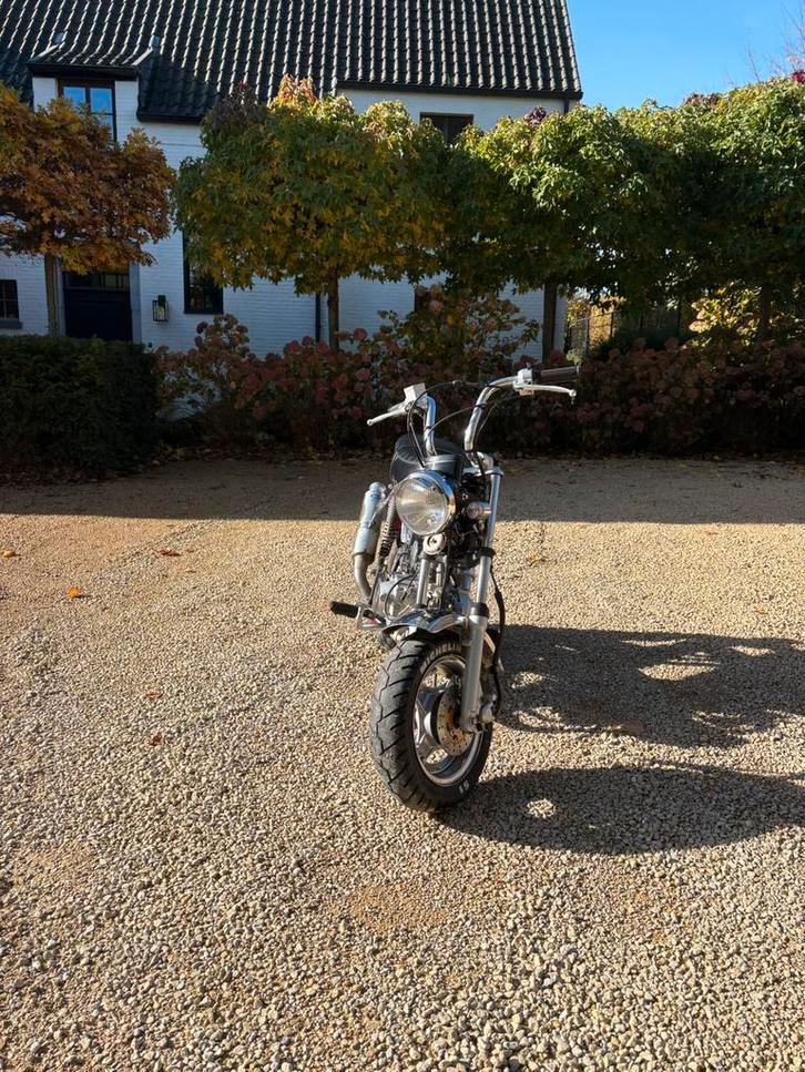 Honda dax jincheng, Fietsen en Brommers, Brommers | Tomos, Zo goed als nieuw, Standard, Klasse B (45 km/u), Ophalen