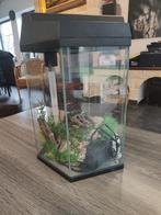 Aquarium 21 liter, Dieren en Toebehoren, Vissen | Aquaria en Toebehoren, Ophalen, Zo goed als nieuw, Leeg aquarium