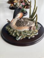 Country artists, Ophalen of Verzenden, Zo goed als nieuw, Dier