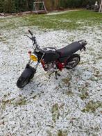 Skyteam Cobra, Autres marques, 5 vitesses, 49 cm³, Enlèvement