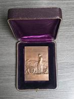 medaille brons begrafenis President Carnot Frankrijk 1894, Ophalen of Verzenden, Brons