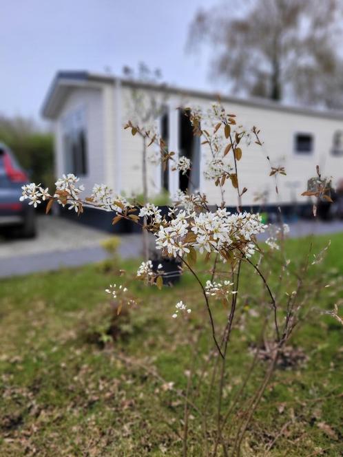 Stacaravan te koop, Caravanes & Camping, Caravanes résidentielles, jusqu'à 6, Enlèvement ou Envoi