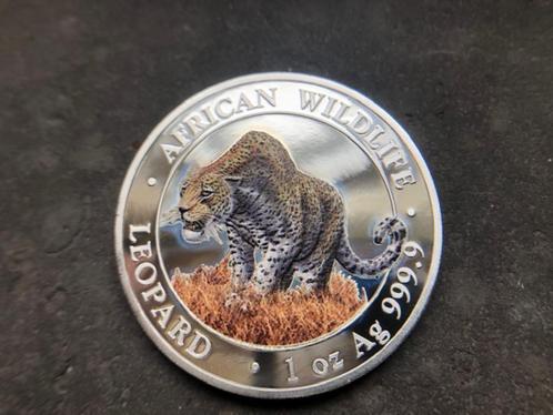 2023 Somalia - Leopard - 1 oz silver coloured gekleurd, Timbres & Monnaies, Monnaies | Afrique, Monnaie en vrac, Autres pays, Argent
