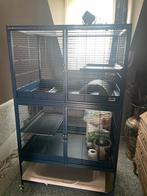 Knaagdieren kooi te koop, Dieren en Toebehoren, Ophalen, Kooi