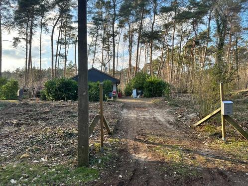 Bosgrond (met onafgewerkt weekendverblijfje), Immo, Gronden en Bouwgronden, 1500 m² of meer