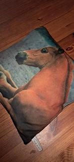 Sierkussen kussen, Huis en Inrichting, Woonaccessoires | Kussens, Ophalen, Gebruikt, Zwart, Vierkant