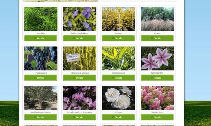 Domeinnaam 'koopeenplant', Zakelijke goederen, Exploitaties en Overnames