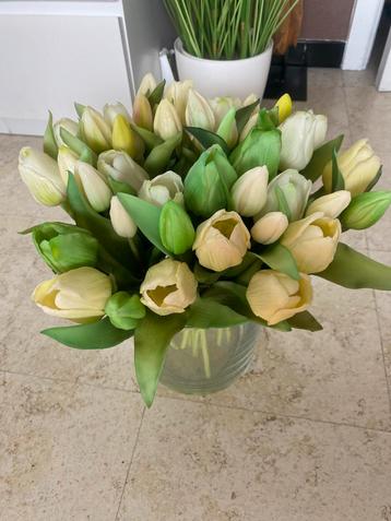 Tulpen kunstplanten beschikbaar voor biedingen