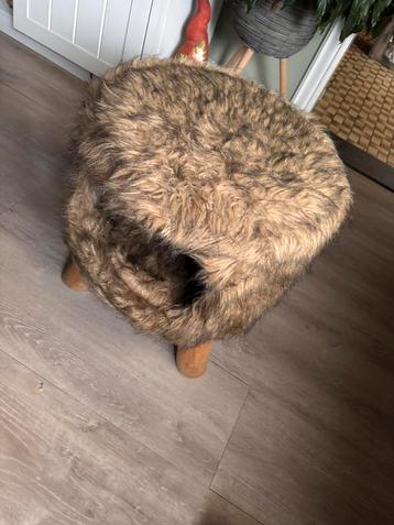 Kattenmand beschikbaar voor biedingen