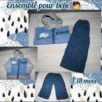 Pantalon+gilet à capuche pour bébé garçon -T.18 mois, Enlèvement ou Envoi, Utilisé