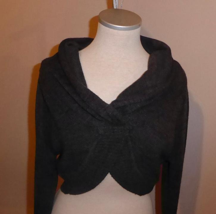 Gilet boléro gris « Bel & Bo » Medium, Vêtements | Femmes, Pulls & Gilets, Comme neuf, Enlèvement ou Envoi