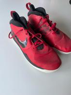 Basketbalschoenen Nike, Sport en Fitness, Basketbal, Ophalen of Verzenden, Gebruikt, Schoenen