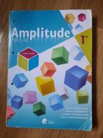 Amplitude 1 Book-notitieboek, Boeken, ASO, Wiskunde A, Gaëtan Klinsport, Ophalen of Verzenden