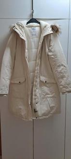 Beige winterjas maat XL, Kleding | Heren, Ophalen, Nieuw, Maat 56/58 (XL), Beige