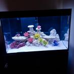 Aquarium recifal Eheim incpiria 300, Enlèvement, Comme neuf