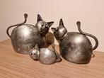 Kattenfamilie, Ophalen of Verzenden