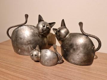 Kattenfamilie  beschikbaar voor biedingen