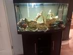 Aquarium juwel vision 260 met ledverlichting, Dieren en Toebehoren, Vissen | Aquaria en Toebehoren, Ophalen, Zo goed als nieuw