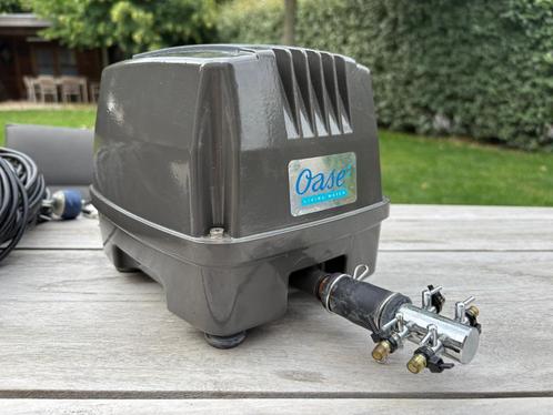 Oase Aquaoxy 4800 zuurstofpomp, Tuin en Terras, Vijver-toebehoren, Zo goed als nieuw, Overige typen, Ophalen