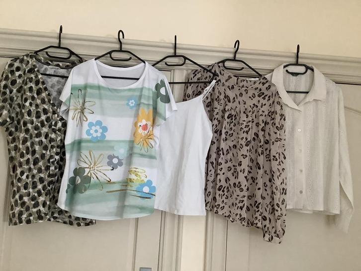 14 stuks bloesjes truitjes sjaaltje samen 15 euro maat L/44, Kleding | Dames, Dames-kledingpakketten, Zo goed als nieuw, Maat 42/44 (L)