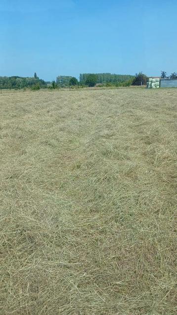 Kleine bussels hooi 13 juni beschikbaar voor biedingen