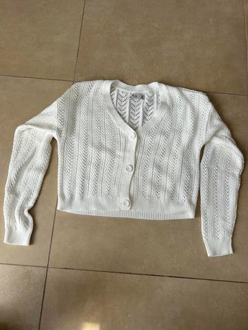 Gilet Hollister maat M beschikbaar voor biedingen