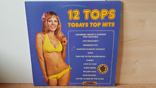 12 TOPS TODAYS TOP HITS VOL. 13 - (1973) (LP), Cd's en Dvd's, Vinyl | Pop, Zo goed als nieuw, 1960 tot 1980, 10 inch, Verzenden