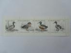 POSTZEGELS BELGIE 1998 VOGELS BOEKJE TE KOOP AFGEPRIJSD, Orginele gom, Ophalen of Verzenden, Zonder stempel, Postfris