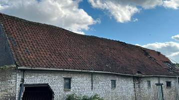 Rustieke boomse pannen, Doe-het-zelf en Bouw, Dakpannen en Dakbedekking, Ophalen, Gebruikt, Steen of Klei, 15 m² of meer