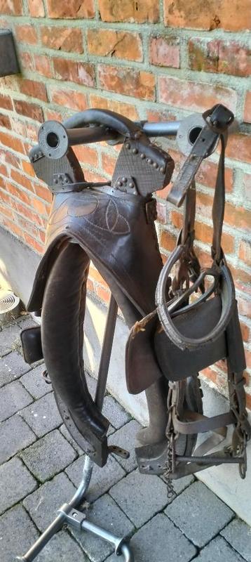 Hoofdstel en tuigage beschikbaar voor biedingen