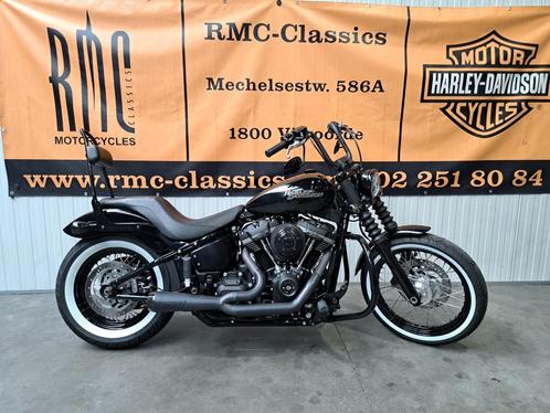 Harley-Davidson SOFTAIL - STREET BOB 107, Motos, Motos | Harley-Davidson, Entreprise, Chopper