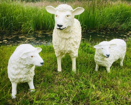 schaap beelden tuin terras veranda, Tuin en Terras, Tuinbeelden, Nieuw, Dierenbeeld, Kunststof, Ophalen of Verzenden
