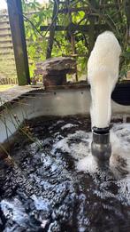 Oase schaumspruer 35-10e, Enlèvement, Neuf