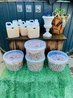 Top groei en kleurvoer, Karper of Koi