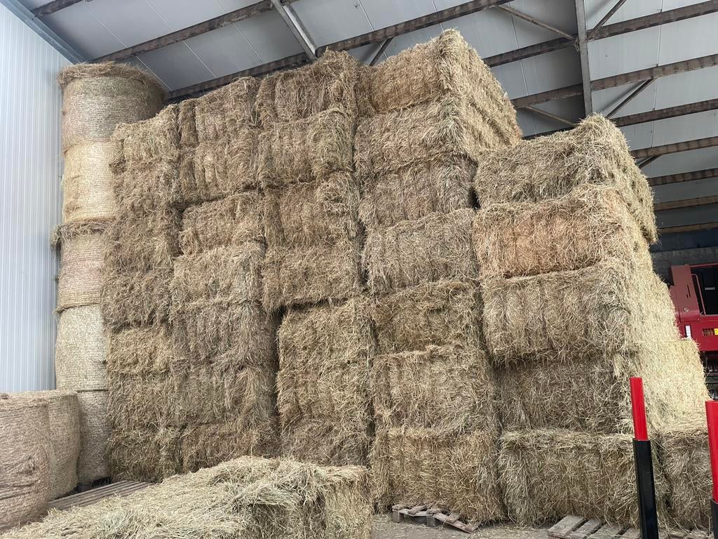 Platte en ronde balen kwaliteit hooi, Enlèvement ou Envoi, Bétail