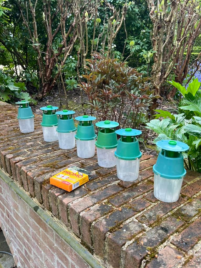 6 buxusmot vallen, Ophalen, Gebruikt, Ongediertebestrijding