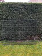 Giardino draadpaneel Napoli zwart 123 x 200 cm, Tuin en Terras, Gaas en Draad, Ophalen, Gebruikt, Minder dan 10 meter, Gaas