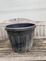 Boomkuip/plantenkuip, Tuin en Terras, Ophalen, Balkon